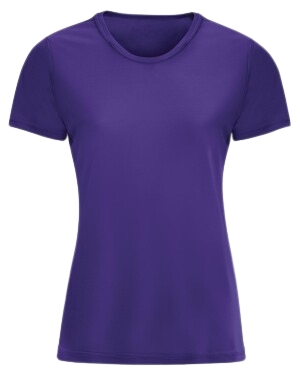 Ladies Performance Tee